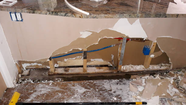 Best Water damage restoration specialists  in Mi Wuk Village, CA