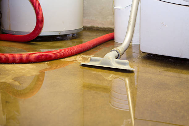 Best Basement water damage restoration  in Mi Wuk Village, CA
