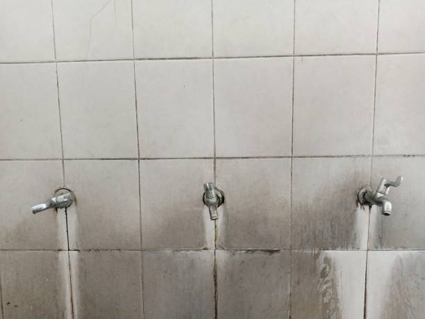 Best Residential water damage restoration  in Mi Wuk Village, CA