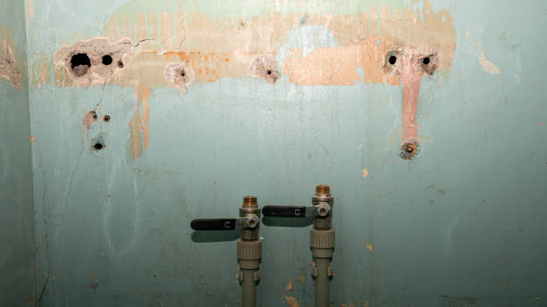 Best Fire Damage Restoration  in Mi Wuk Village, CA