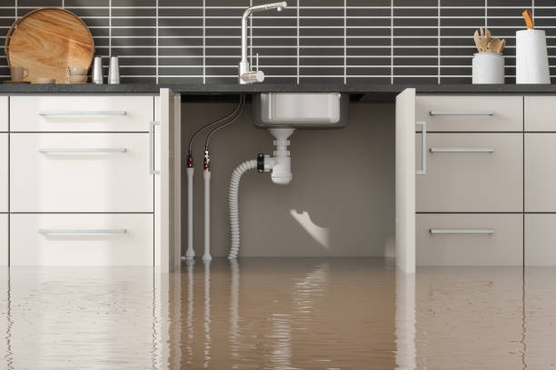 Best Water damage restoration near me  in Mi Wuk Village, CA